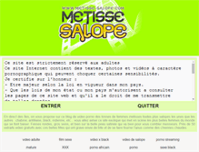 Tablet Screenshot of metisse-salope.com